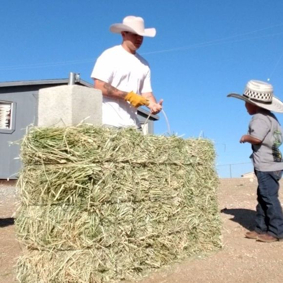 Meet your Posher, Danny - Picture 1 of 1